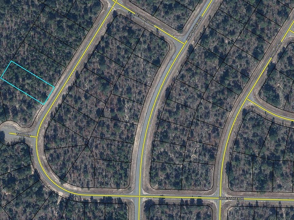1st image of 45 Bluestone Dr