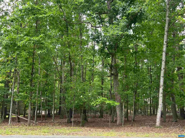 25 Laguna Rd, Palmyra, VA 22963