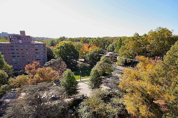 View from Corner Balcony