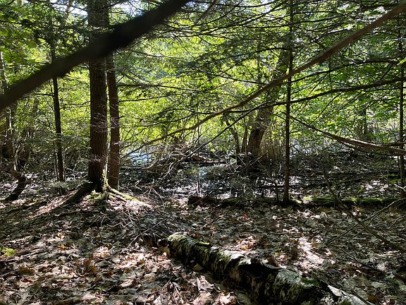 4th image of Lot #0 Birch View Drive