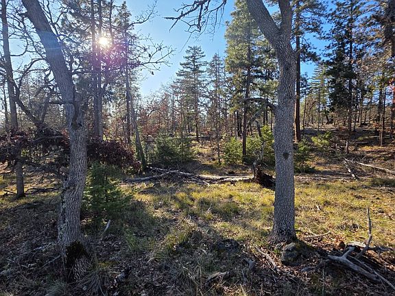 3rd image of LOT 119