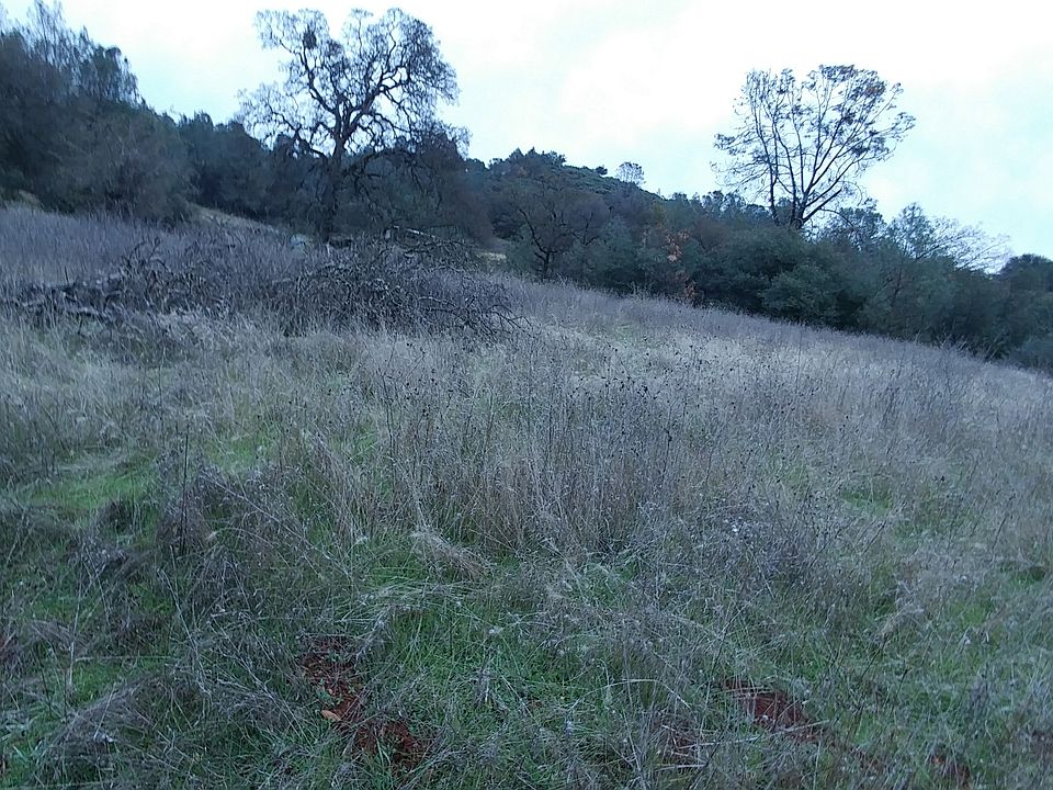 Beautiful Rolling Acreage