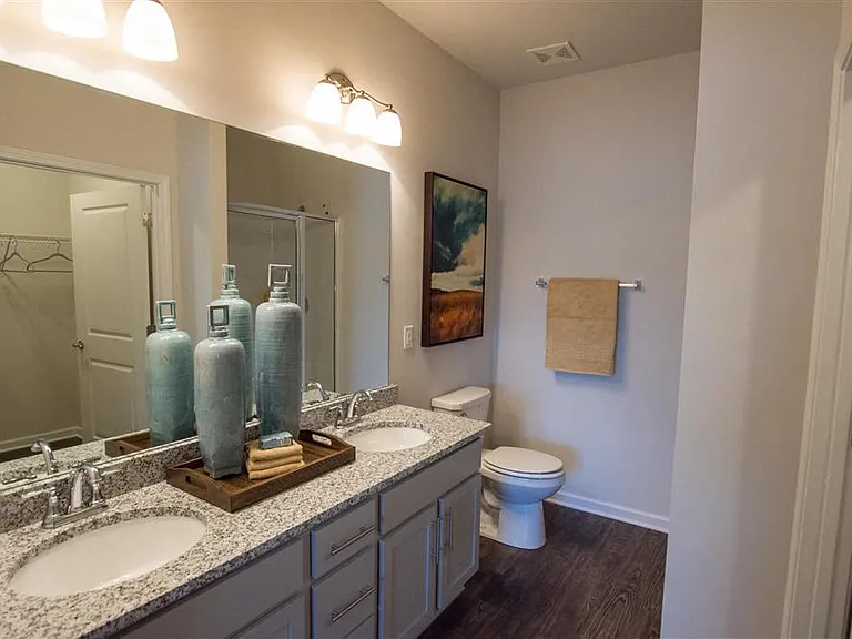 Primary bathroom with double vanity, walk-in shower and walk-in closet.