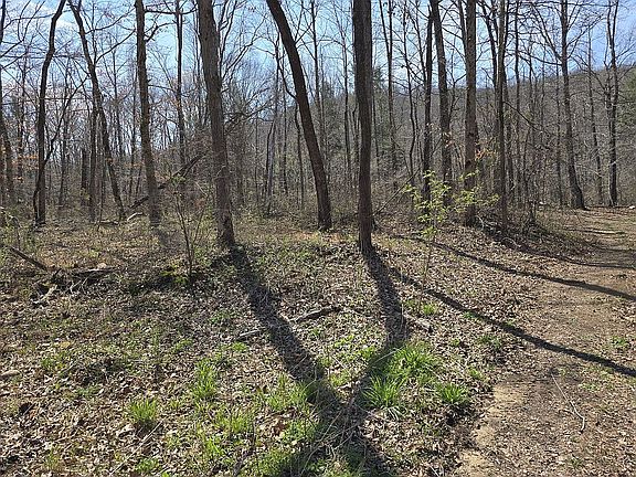 3rd image of 0 Hills Creek Rd