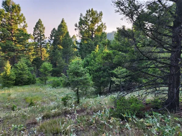 60 & 63 Moonrise Rd, Drummond, MT 59832