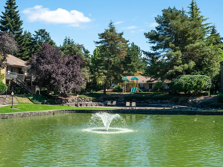 Outdoor Landscaping and Pond