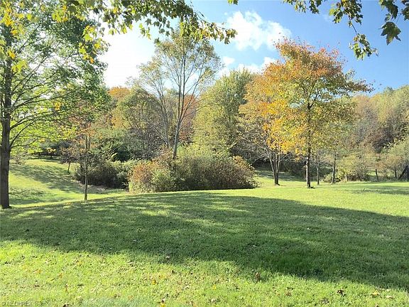 3 ACRES W/APPLE TREES AND CHRISTMAS TREES