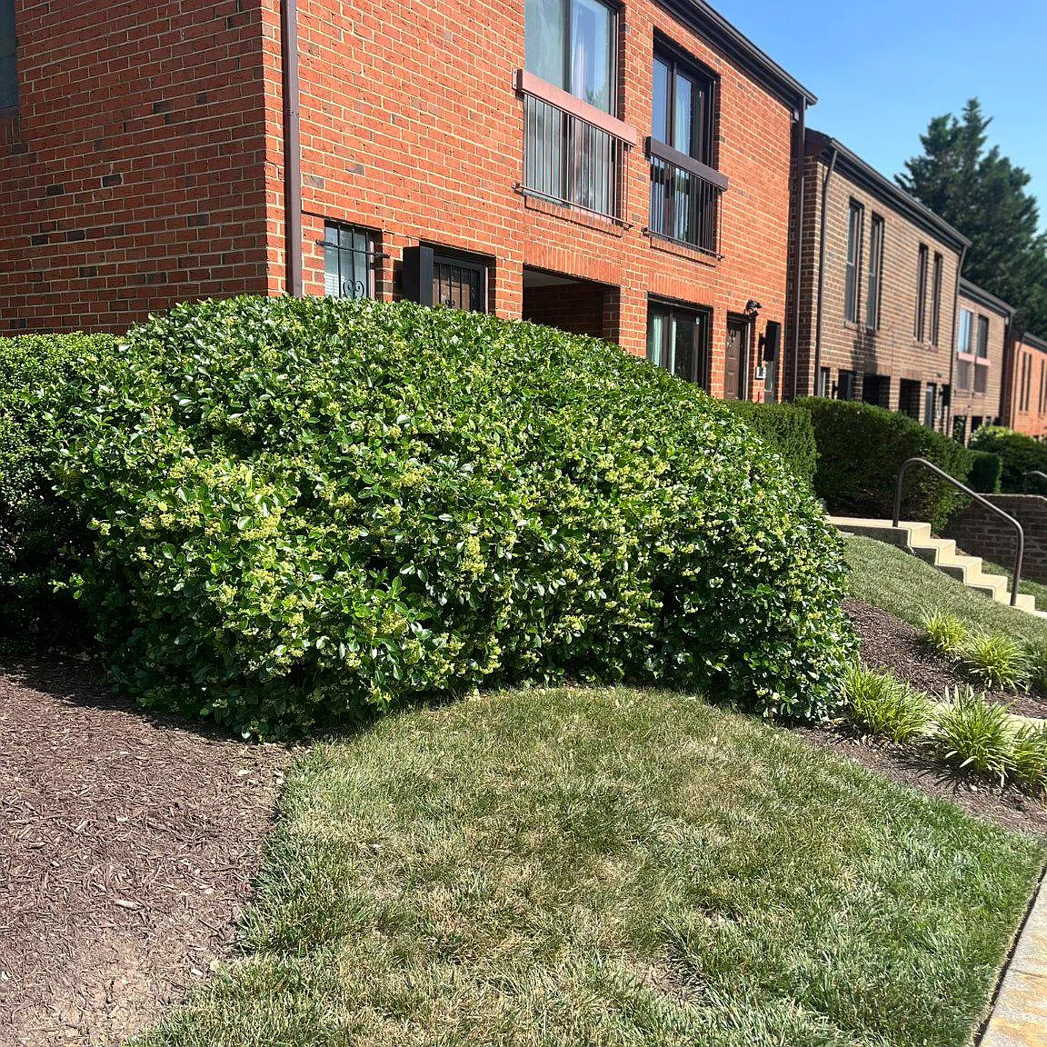 2 bed, 4.0 bath, 1161 sqft, $2,900 — Photo 3