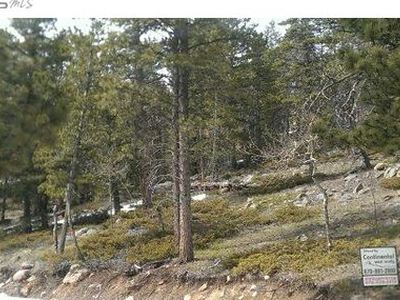 70 Nambe Ct, Red Feather Lakes, CO, 80545