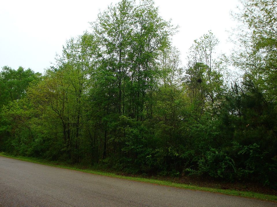 2nd image of Oak Dr