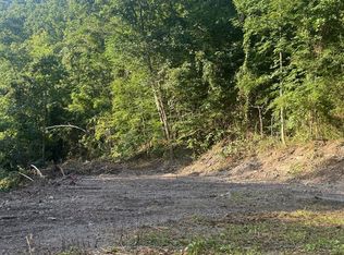 665 Pearl Hl, Delbarton, WV 25670