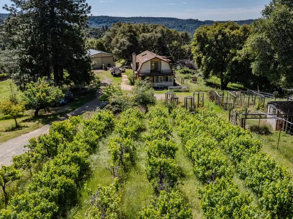 17800 Red Mule Rd, Fiddletown, CA 95629