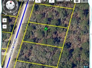 14496 Mount Ivy Rd, Weeki Wachee, FL 34614