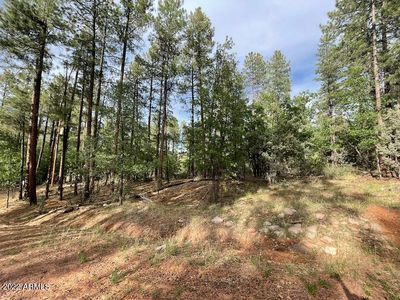 6 W Obier Dr #6, Pine, AZ, 85544