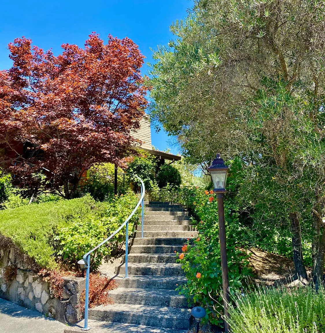 5 bed, 5.5 bath, $11,950 — Photo 2
