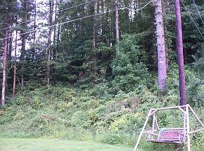 2nd image of 152 Nell Carter Dr
