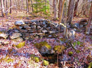 0 Dragoo Rd, Schenevus, NY 12155