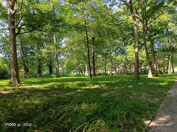 2909 County Road 214 — Photo 15