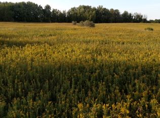 Elmwood Rd, Cass City, MI 48726