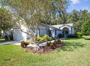 3229 Tanglewood Trl, Palm Harbor, FL 34685