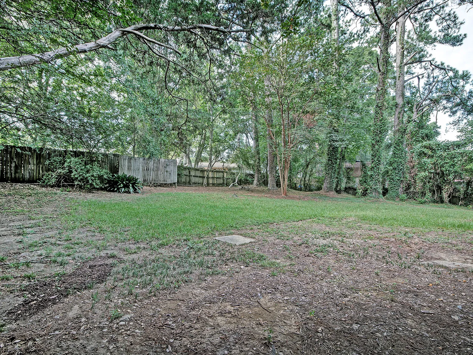 3 bed, 1600 sqft, $5,100 — Photo 4