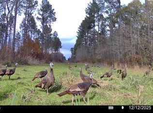 6145 Dry Grove Rd, Terry, MS 39170