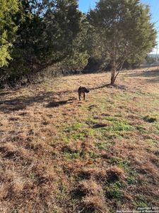 9380 rebecca creek LOT 4, Spring Branch, TX, 78070