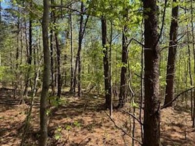 Lamon Chapel Loop, Jasper, AL, 35503