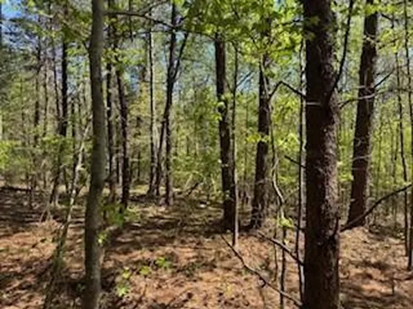 Lamon Chapel Loop, Jasper, AL 35503