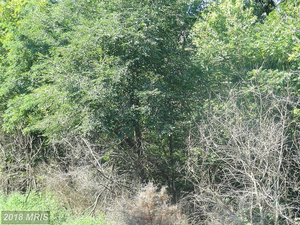 2nd image of Old Gordonsville Rd