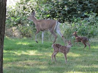 4727 Wilson Rd, Great Valley, NY 14741