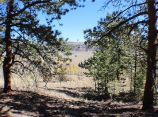 Tbd Redhill Rd, Fairplay, CO 80440