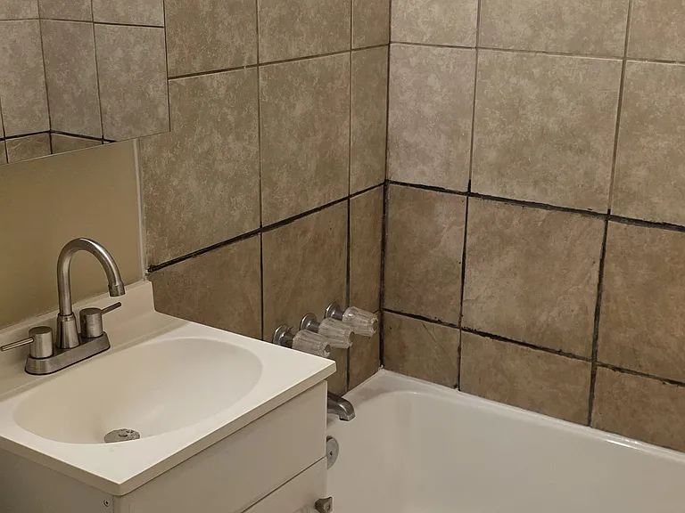 1420 Putnam Ave #8 — Photo 9