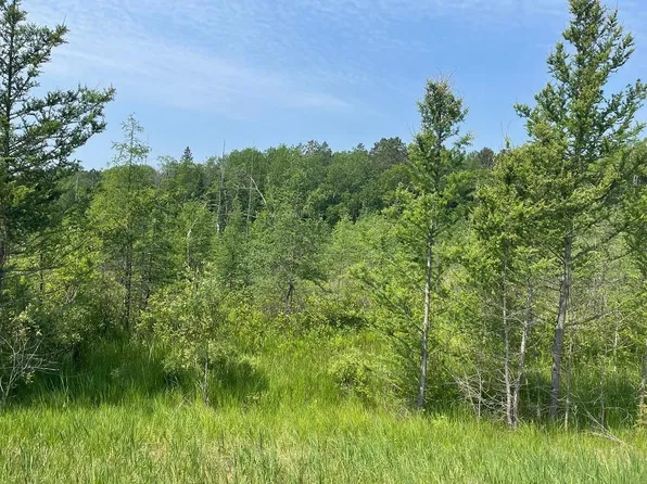 Abc County Hwy #46, Park Rapids, MN 56470