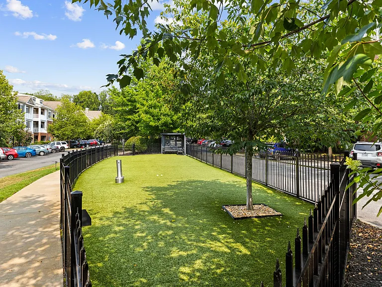 The Reserve at Belvedere — Photo 22