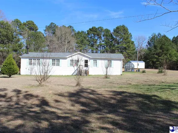 1194 Brandywine Trce, Summerton, SC 29148