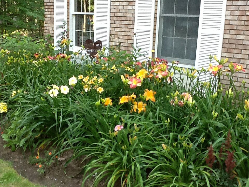 2nd image of 9 Pepper Ln