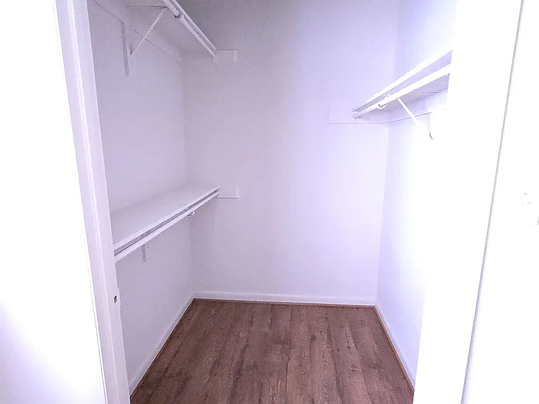 Walk-in closet, master bedroom