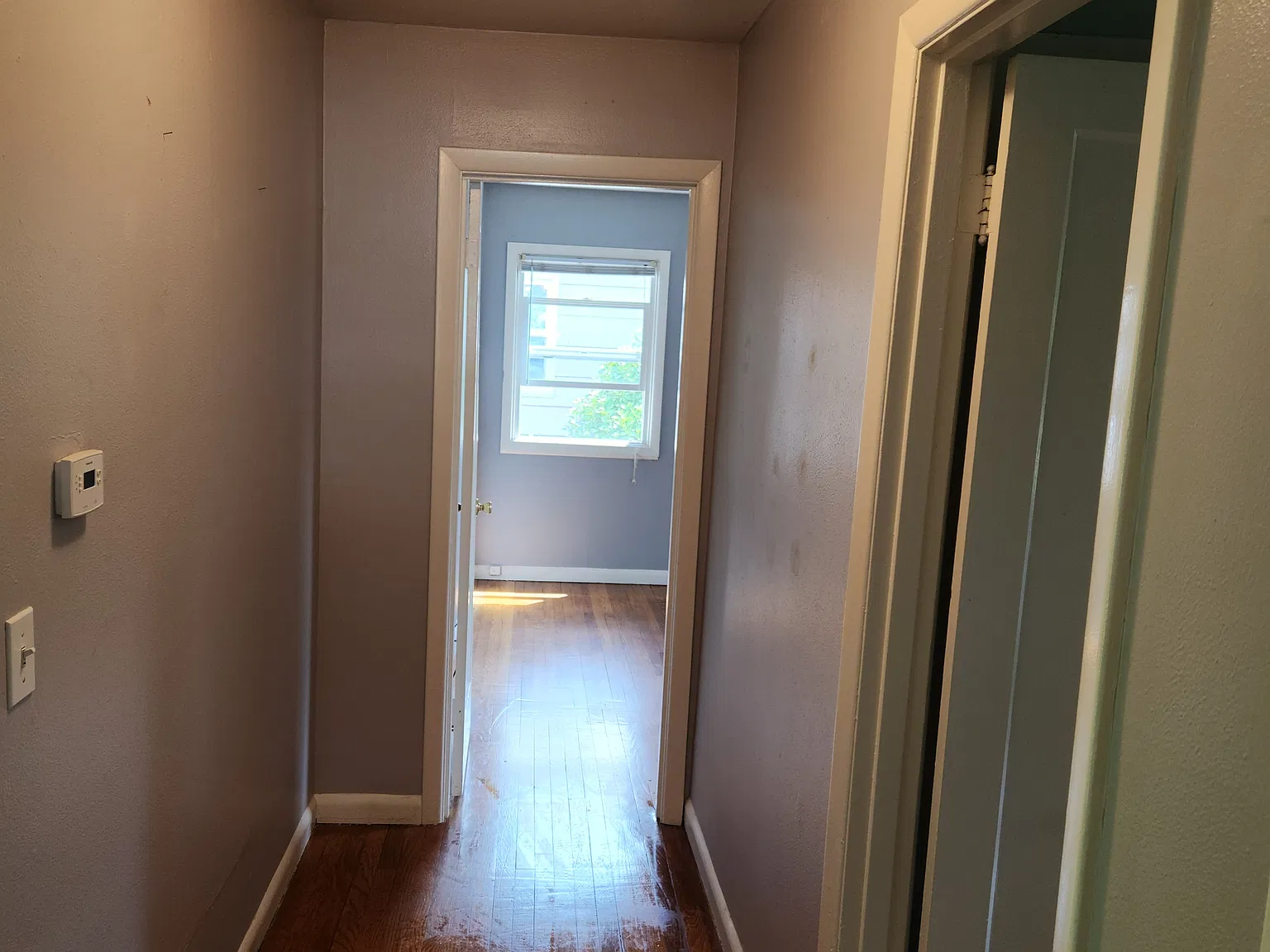 2 bed, 884 sqft, $2,500 — Photo 4