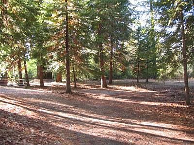 Paved road with many trees