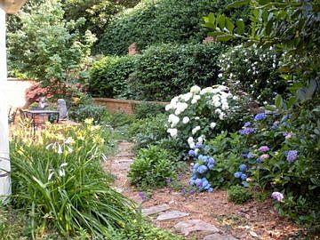 Back Garden Flowers