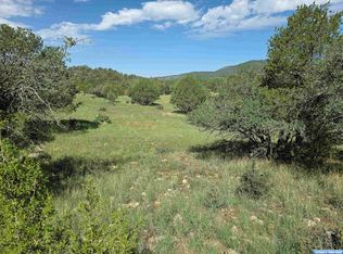 37-X1 Black Dog Rd, Arenas Valley, NM 88022