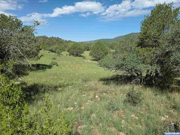 37-X1 Black Dog Rd, Arenas Valley, NM 88022