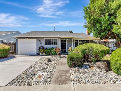 263 Maple St, Hollister, CA, 95023