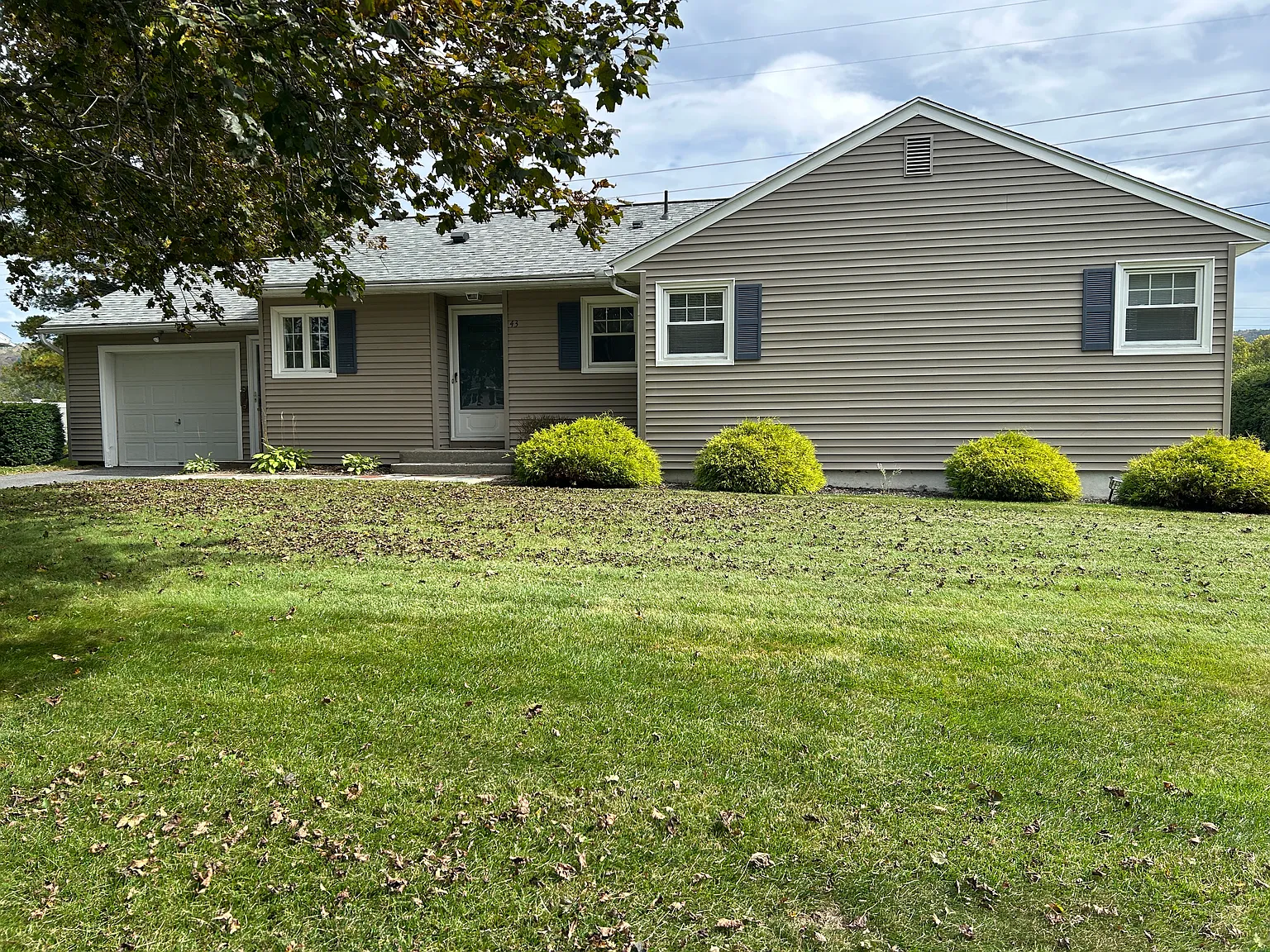 43 Joan Dr — Photo 1