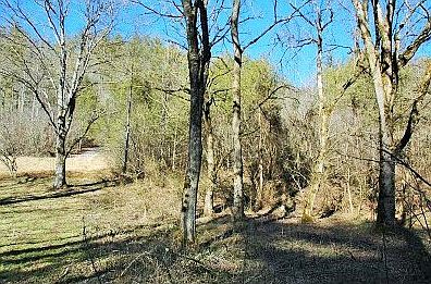 5th image of Creek Hollow Way