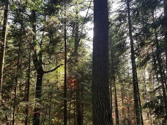 5th image of Eaglewatch Ct Lot 9