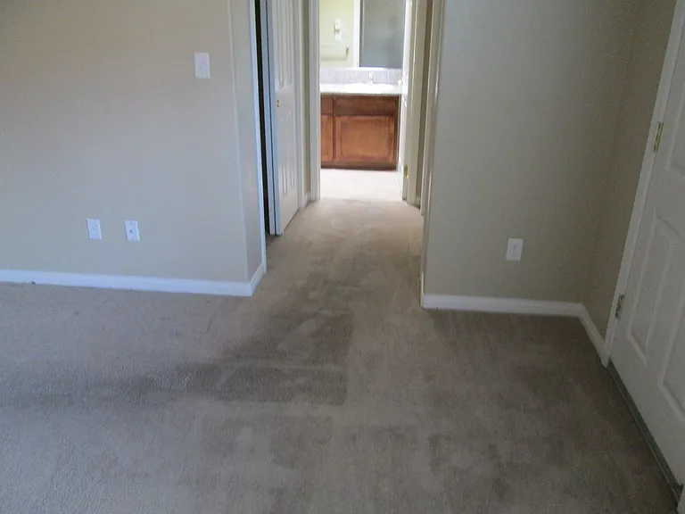 3455 Rustic Meadow Ct — Photo 7