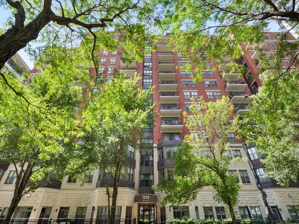 1250 S Indiana Ave APT 1201, Chicago, IL 60605
