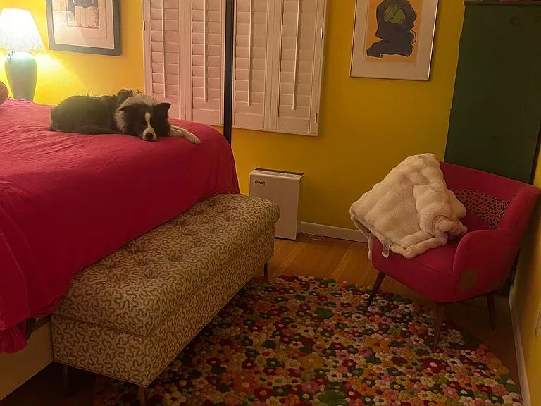 Back bedroom.